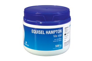 Equisel Hampton 