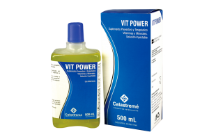 Vit Power 