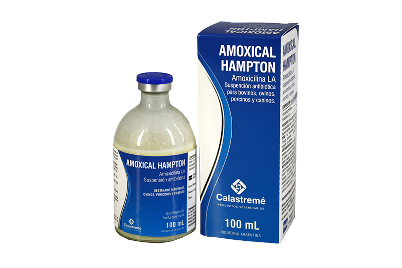 Amoxical Hampton - SUSPENSIÓN ANTIBIÓTICA - Laboratorio Calastremé